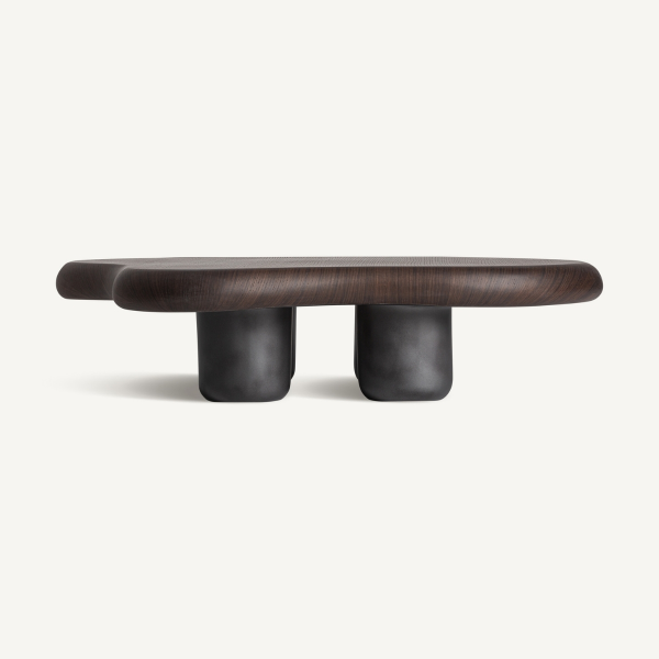 grande table basse premium forme organique