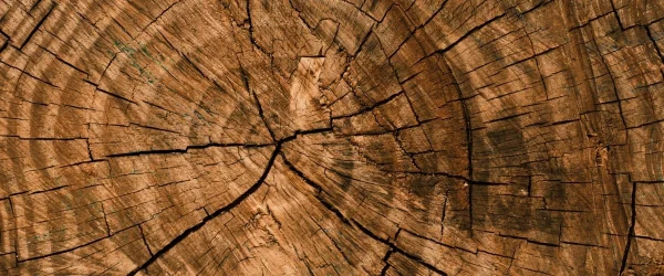Bois massif